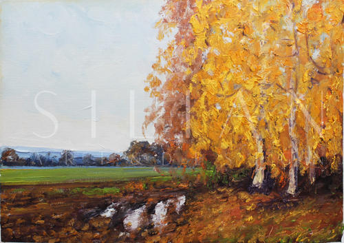 Idyllic Scenery XVIX